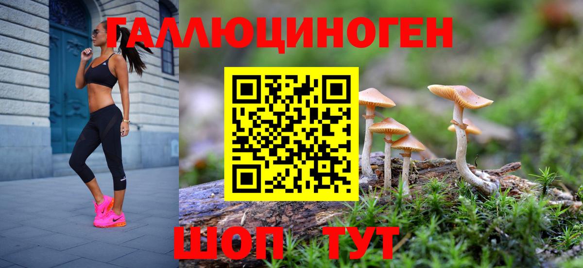 Галлюциногенные грибы GOLDEN TEACHER  Галлюциногенные грибы Psilocybe  Александров  Вход с VPN 