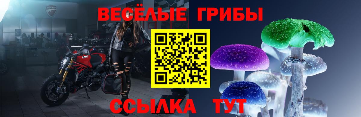 Псилоцибиновые грибы мицелий Александров